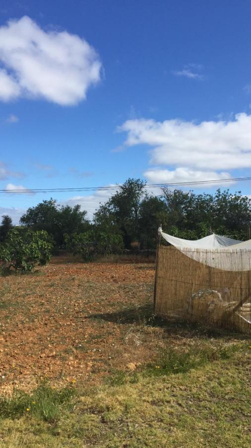 Solar Da Cotovia Βίλα Αλμπουφέιρα Εξωτερικό φωτογραφία