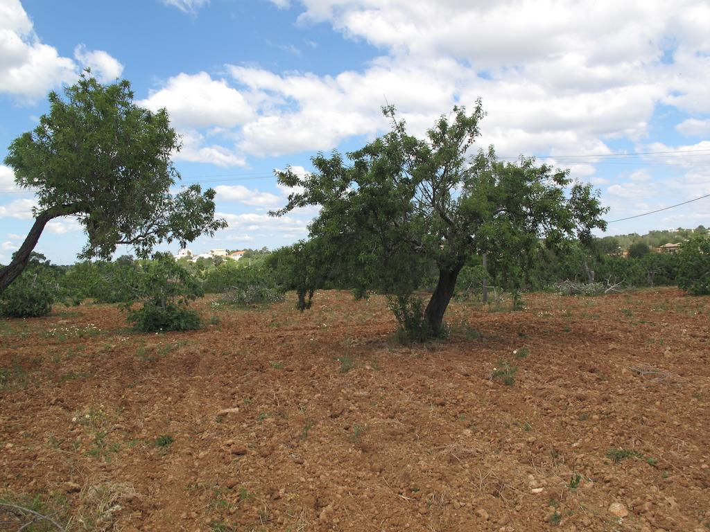 Solar Da Cotovia Βίλα Αλμπουφέιρα Δωμάτιο φωτογραφία