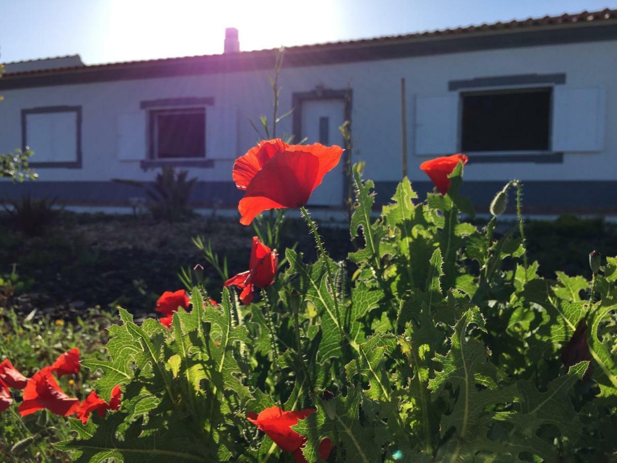 Solar Da Cotovia Βίλα Αλμπουφέιρα Εξωτερικό φωτογραφία