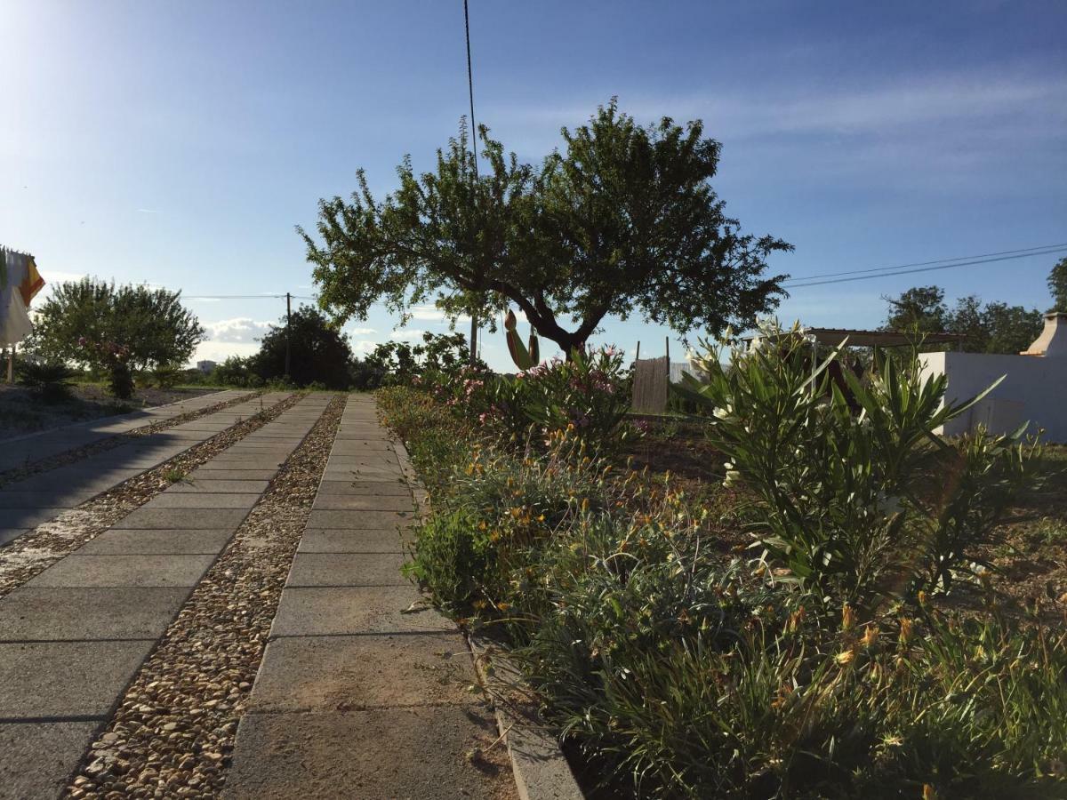 Solar Da Cotovia Βίλα Αλμπουφέιρα Εξωτερικό φωτογραφία